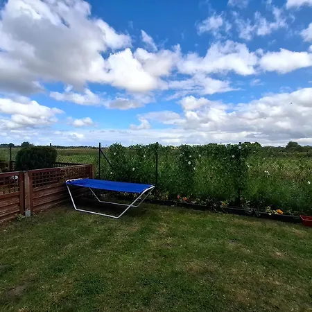 Z Ogrodkiem Mewa アパート